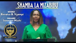 SHAMBA LA MIZABIBU - RENATUS BELLA VYAMPI