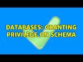 Databases: Granting Privilege on SCHEMA (2 Solutions!!)