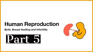 Human reproduction - Part 5 (Final Vid) Leaving Cert Biology