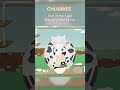 cows are mooing. moo shorts cartoons farmanimals kidstv little chubbies