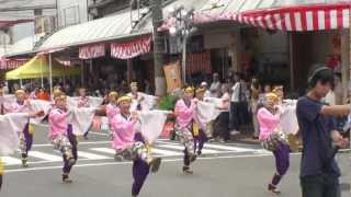 支志團　～2012高知よさこい祭り・本祭２日目(升形競演場)