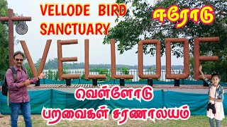 Vellode birds sanctuary | வெள்ளோடு பறவைகள் சரணாலயம்#Erode#perundurai 100 க்கும் மேற்பட்ட பறவைகள்🐧🐦🦆🦩