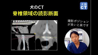 ＜獣医師向け＞脊椎の読影での断面（4分33秒）