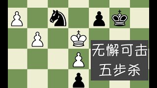 【五步杀】国际象棋绝妙五步杀（两个兵都在底线了，要去控制吗？）