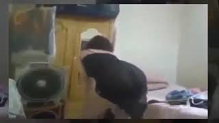 رقص منقبه مصريه رقص بدون ملابس - video klip mp4 mp3