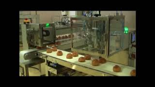 JSP- 10-4SA型 シュー注入 ジャパンシステム(JAPAN SYSTEM)　【Synchronizing Depositor for cream puffs】