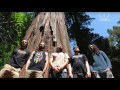 Iya Terra - "Iya Lovin" (Live Music Video)