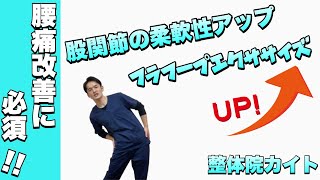 腰痛改善には必須！！股関節の柔軟性をアップさせるフラフープエクササイズ！【相模原市古淵にある腰痛専門整体院カイト】