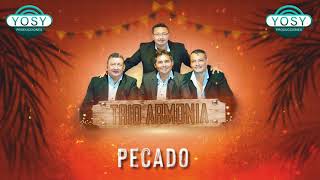 Pecado - Trio Armonia