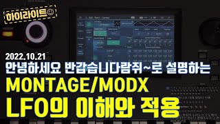 [LIVE요약보기] 10/21 MONTAGE/MODX LFO 이해하기 feat.반갑습니다람쥐~