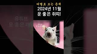 2024년 11월 띠별운세! 쥐띠 11월 한달운세! 운 좋은 쥐띠 11월 운세!