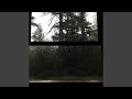 Fallen Down (Slowed + Reverb)