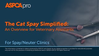 Spay/Neuter Surgery: The Cat Spay Simplified - An Overview for Veterinary Assistants