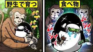 【アニメ】野生の動物に育てられるとどうなるのか？