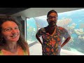 bermuda s aquarium museum and zoo walkthrough and tour 4k