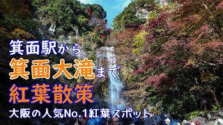 紅葉が見頃の「箕面の滝」を箕面駅から箕面大滝まで散策