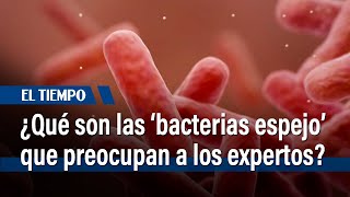 ¿Qué son las ‘bacterias espejo’ y por qué preocupan enormemente a los expertos?