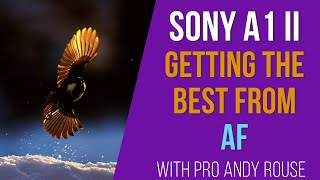 Tips and tricks for getting best from subject recognition AF with Sony A1 MK II shooting backlit