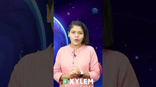 വിസ്മയ ലോകം കണ്ടറിയാം✨ | Xylem Class 5