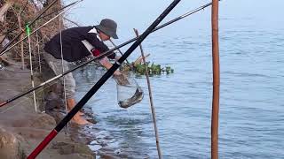 Fishing at TaProm Island l ស្ទូចត្រីនៅកោះតាព្រហ្ម