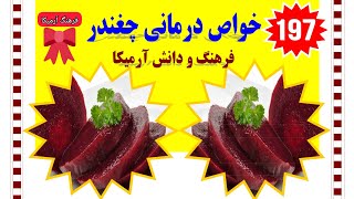 ۱۹۷) خواص درمانی چغندر - سلامت - فرهنگ و دانش آرمیکا