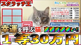 【わんにゃんスクラッチ】１等30万円『メインクーン２』幸運を呼ぶ猫は高額当選を呼ぶ【＃宝くじ】