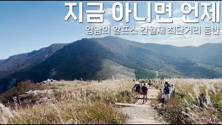 [VLOG] 울산에 위치한 한국의 알프스 '간월재 최단거리 코스' | 울산 | 간월재 | 간월산 |정상| 등산 | 즉흥여행 | 혼자여행 | 국내여행 | 직장인여행 | 힐링 | 주말