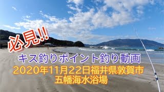 【投げ釣り】2020年11月22日　キス釣行動画　福井県敦賀市五幡海水浴場