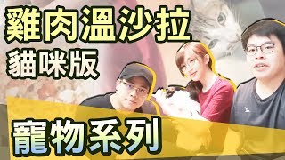 【寵物系列】#3 矮人料理能否征服網紅貓呢 feat.小熊、鳥屎、北鼻、嚕嚕