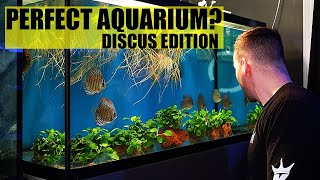 THE PERFECT AQUARIUM - Discus fish tank edition - The king of DIY