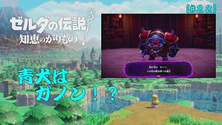 【２２】ガノン？貴方ガノンって言うのね！【ゼルダの伝説　知恵のかりもの　実況プレイ】