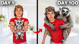 I Raised a Baby Lemur! (100 Day Evolution)