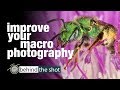 Improve Your Macro Photography with Don Komarechka - Behind the Shot