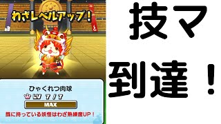 「妖怪ウォッチぷにぷに」ジバニャンS劉備技マ