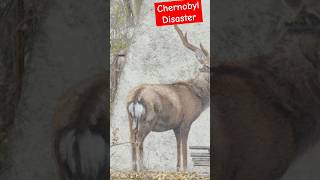 चेरनोबिल आपदा: परमाणु दुःस्वप्न| Chernobyl Disaster: The Nuclear Nightmare #ytshortsindia