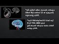 මිනිස් මොළය පිළිබඳ ඔබ නොදත් කථා human brain facts