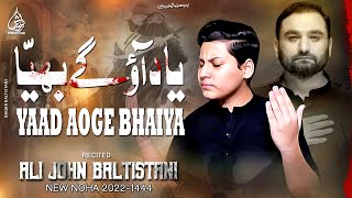 Arbaeen Noha Yaad Aoge Bhaiya | Ali John Baltistani | Shahid Baltistani | Nohay 2022 | Muharram