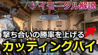 【イモータル解説】撃ち合いの勝率を上げる！プリエイムとカッティングパイの使い分け方【VALORANT】