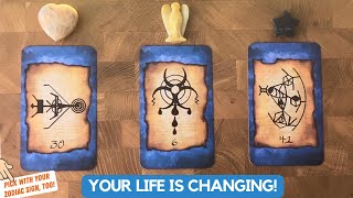 Your Story: Past, Present and Future! | Timeless Reading