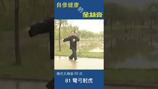 趙幼斌   太極拳85式   81 彎弓射虎