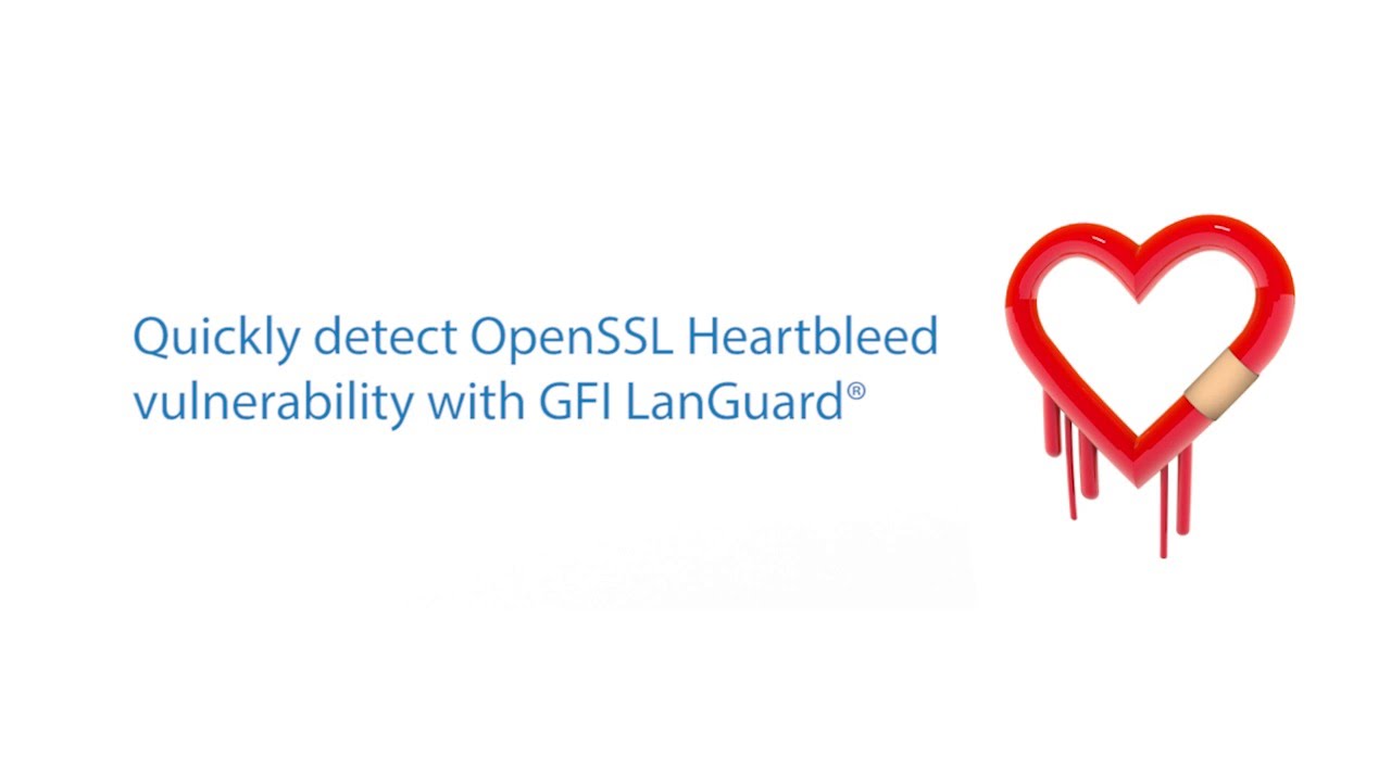 How To Use GFI LanGuard To Detect OpenSSL Heartbleed Vulnerability ...