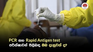 PCR සහ Rapid Antigen test පරීක්ෂාවන් පිලිබඳ ඔබ දැනුවත් ද? - GARA MEDIA