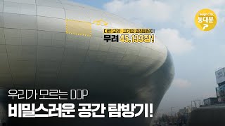 DDP 비밀의 공간으로 초대합니다!