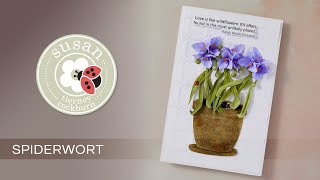 Spiderwort with Susan | Through the Meadow Collection