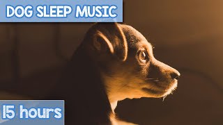 EXTRA Relaxation Music for Dogs | Calming Anxiety Relief for Canines