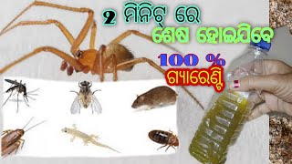 2 ମିନିଟ୍ ରେ ବୁଢିଆଣୀ ଅସରପା ମୂଷା ସବୁ କୀଟ ପତଙ୍ଗ ରହି ପାରିବେନି ଘରେ/ସମ୍ପୂର୍ଣ୍ଣ ଘରୋଇ ଉପାୟ 100%ଗ୍ୟାରେଣ୍ଟି