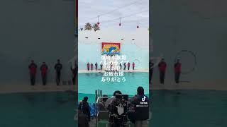 須磨水族館イルカライブ最終日