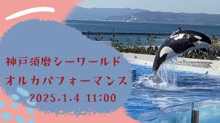 神戸須磨シーワールド　オルカパフォーマンス　2024.1.4 11:00