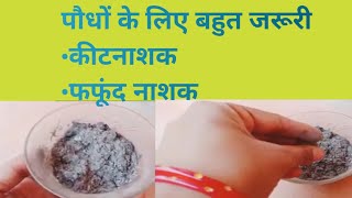 लकड़ी की राख के फायदे पौधों के लिए 🌱|| Natural Wood Ash Fertilizer For Plants