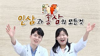 [식약보감  7편] 인삼과 홍삼 1탄 (인삼 그리고 홍삼의 모든 것)